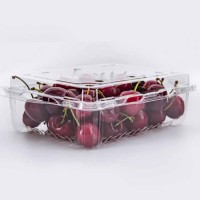 一次性透明生鲜托盘 蔬菜塑料打包托盘盒 超市食品果蔬托盘 果蔬盒