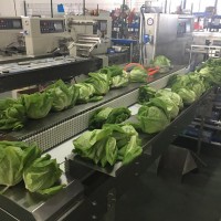 柯田VT-280XA 生鲜蔬菜包装机设备 柯田厂销