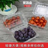 一次性水果托盒 塑料透明果蔬托盘 草莓盒 鲜果切托盒 超市生鲜托盒 果蔬盒