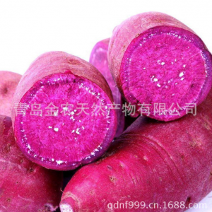 厂家直供超细紫薯粉--200目 出口级别 无添加 量大质优