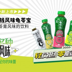 龟苓宝植物饮料500ml*15 瓶